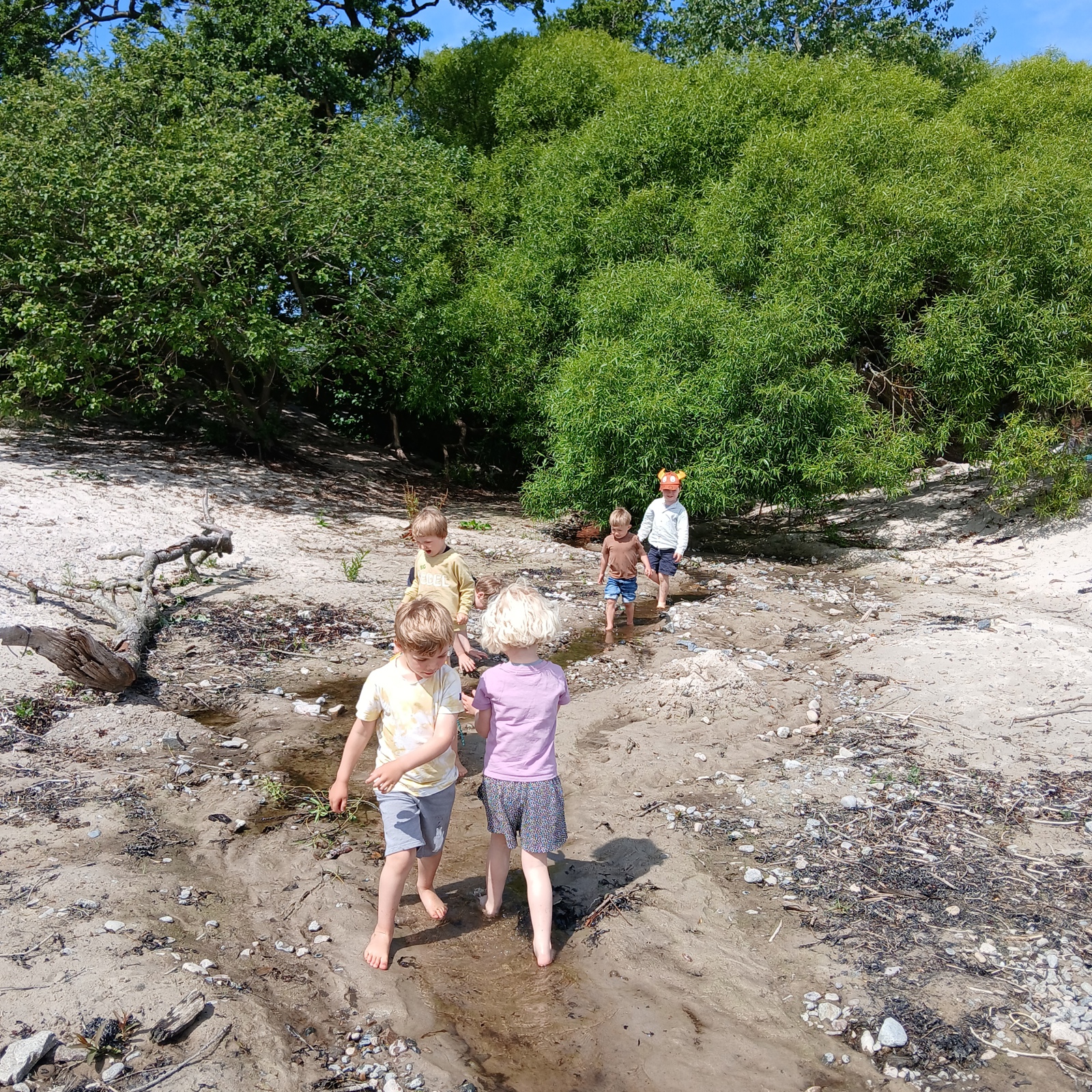 melsted strand